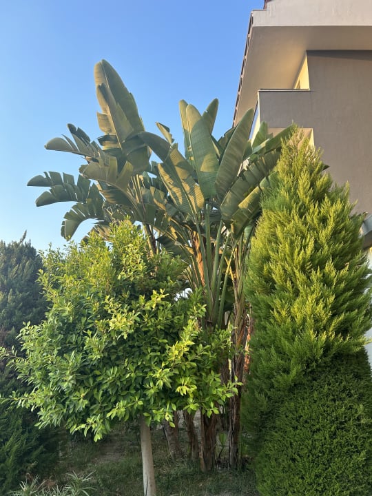 Ausblick Well Palace Side