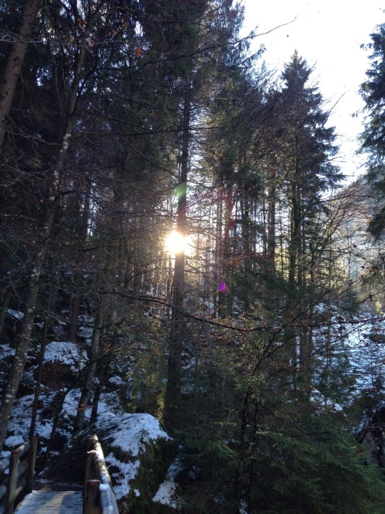 Rundweg Blausee Hotel & Restaurant Blausee