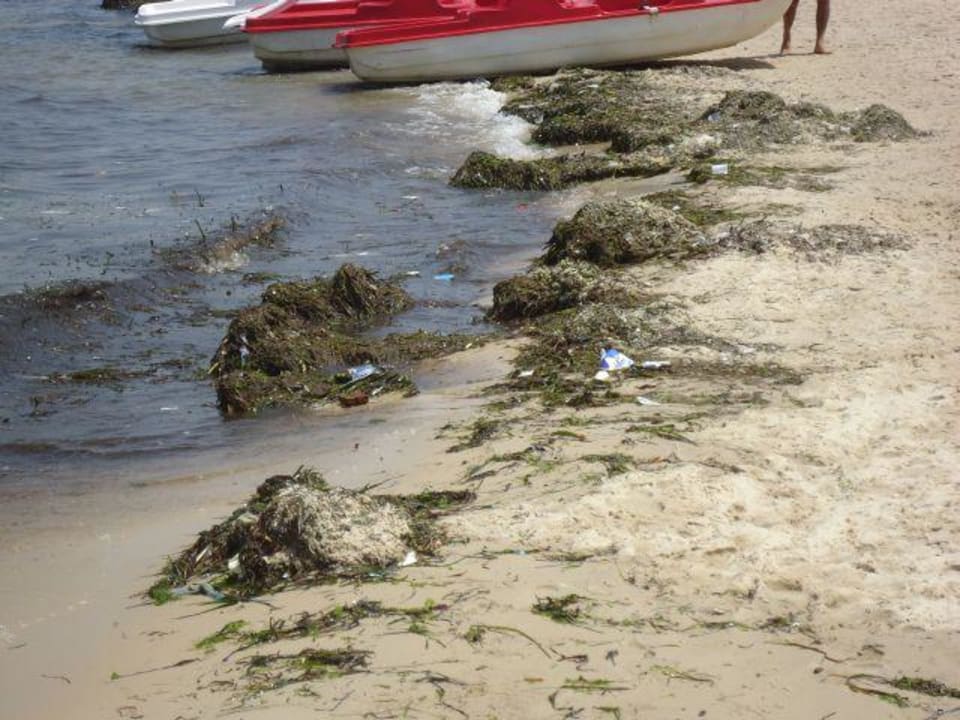 Jeden Tag das gleiche Bild Marhaba Royal Salem