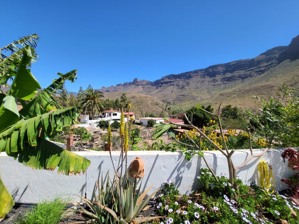 Gartenanlage Bio Finca - Las Tenerías