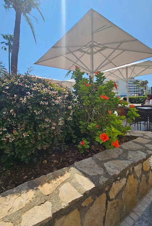 Gartenanlage allsun Hotel Bahia del Este