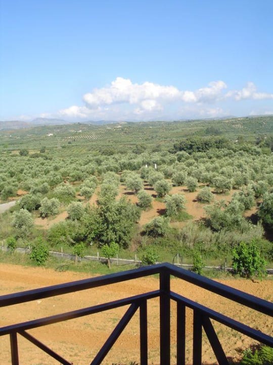 der herrliche Blick vom Balkon aus Pinelopi Apartments