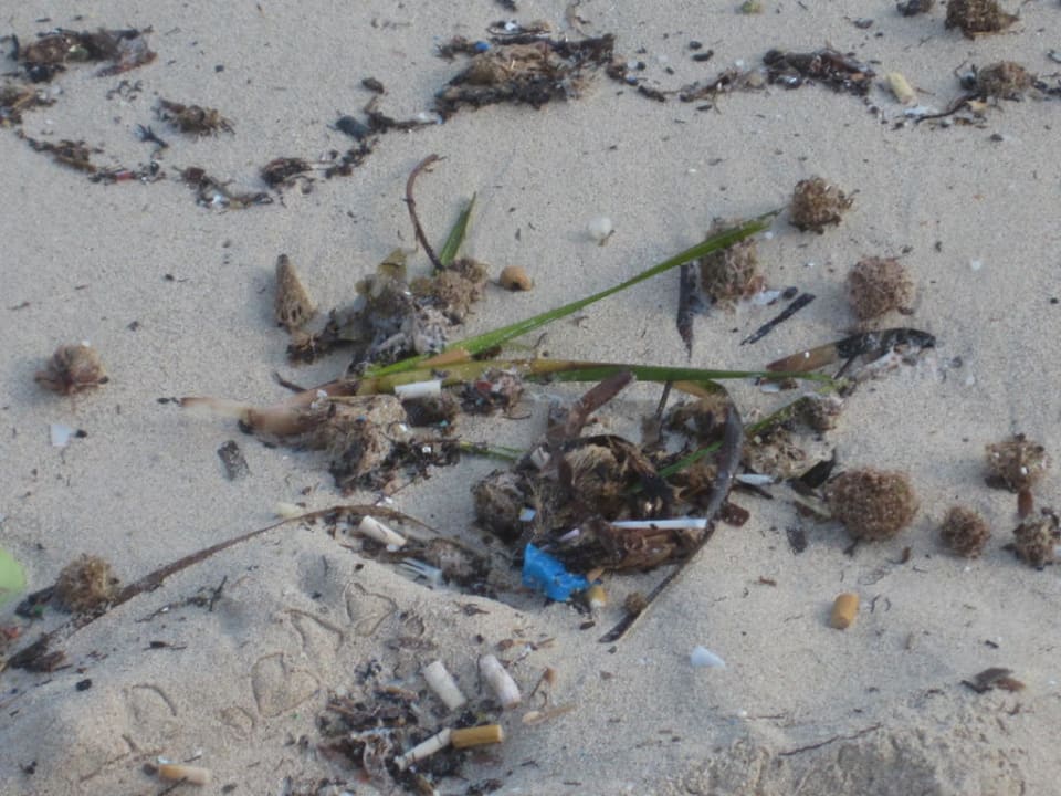 Zigarettenstümmel am Strand Protur Turo Pins Hotel