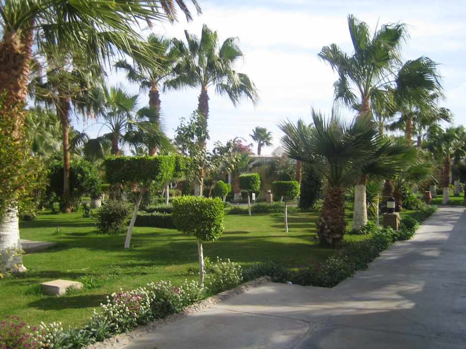 Hotel Lillyland Beach Mirage Bay Resort & Aqua Park