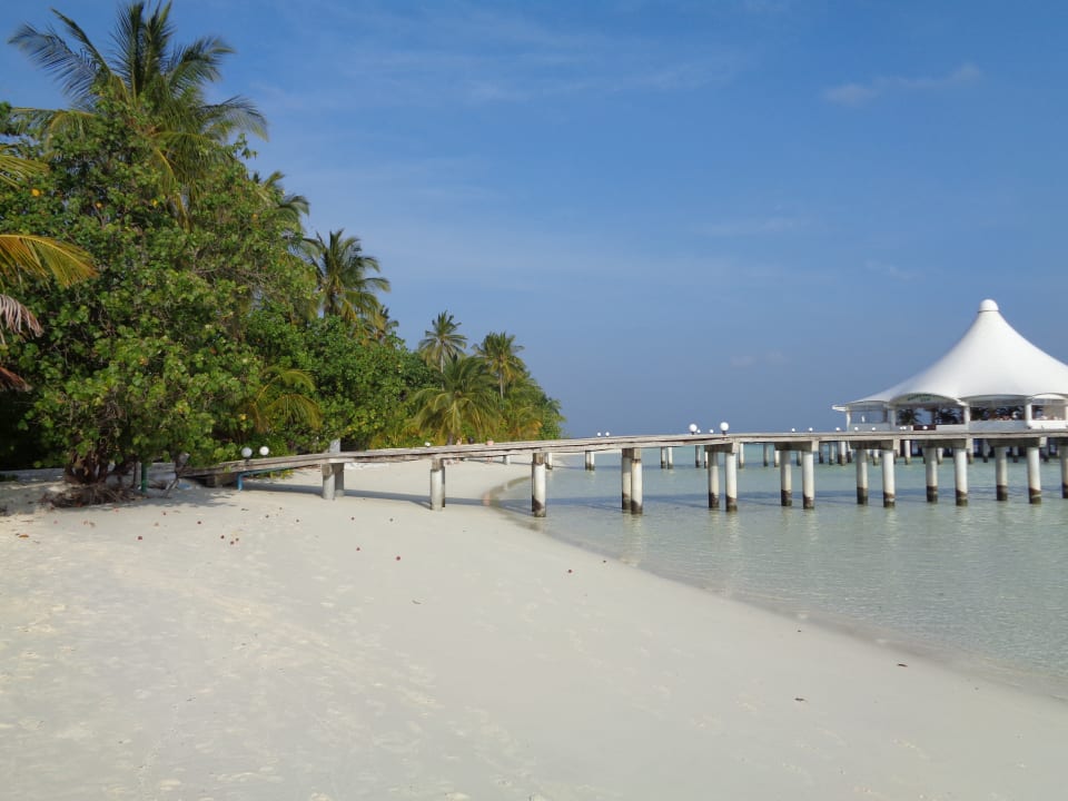 Strand Safari Island Maldives