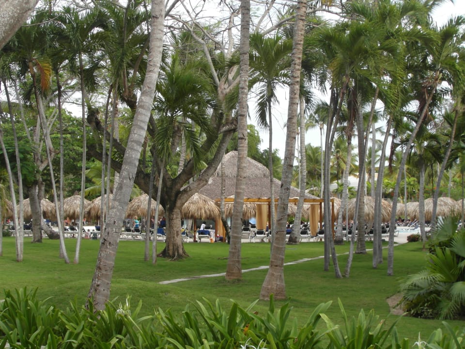 Gartenanlage Grand Palladium Select Bávaro Resort & Spa