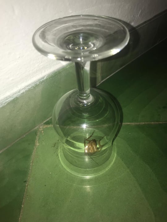 Zimmer Hotel Bella Playa & Spa