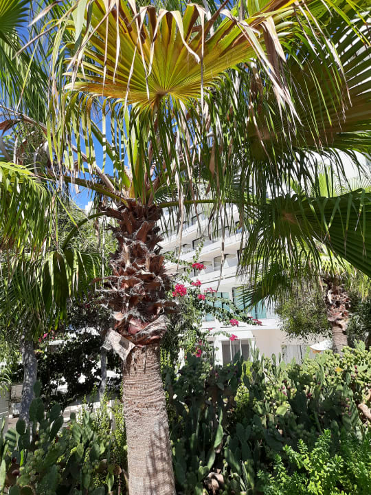 Außenansicht Hotel Grecian Bay