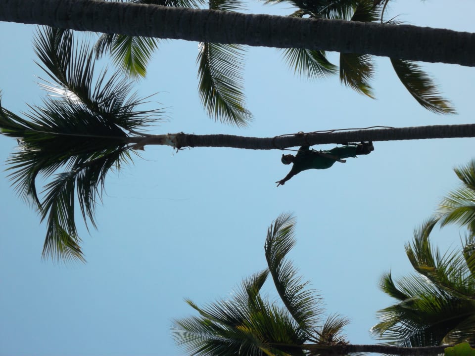 Gärtner bei der Arbeit Grand Palladium Select Bávaro Resort & Spa