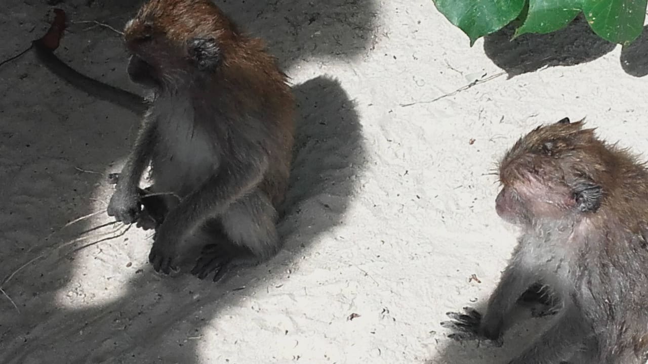 Garten Berjaya Langkawi Resort