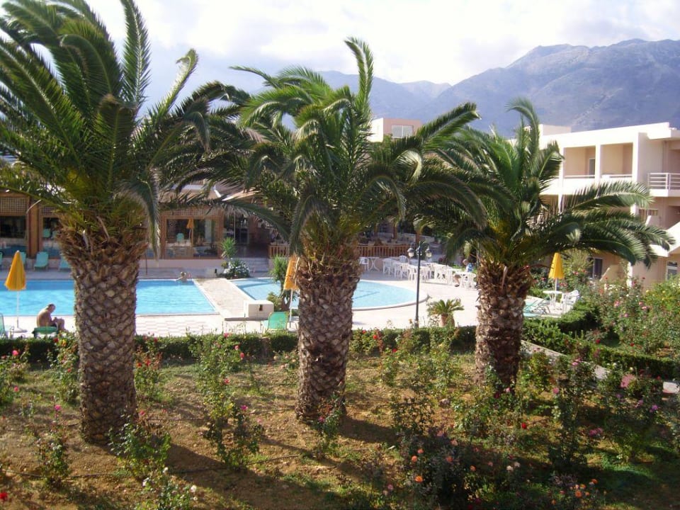 Pool side Delfina Tropic Beach