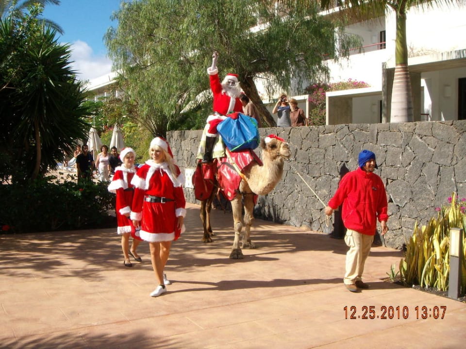 Animationsteam an Weihnachten Hotel Costa Calero