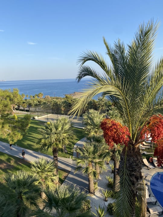 Ausblick Rodos Princess Beach Hotel & Spa