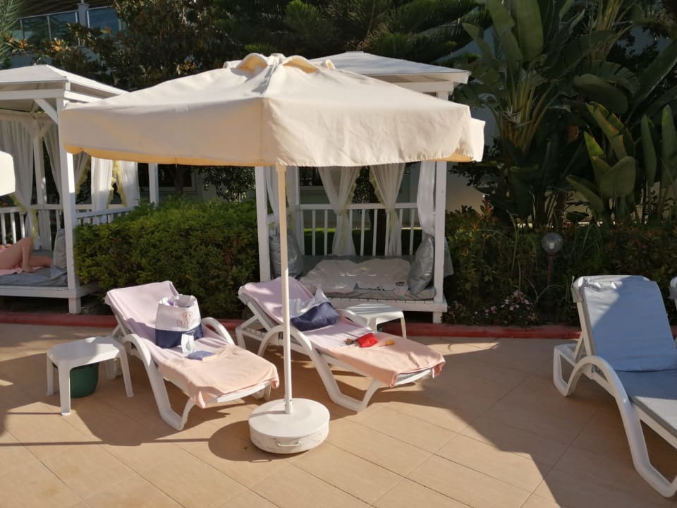 Pool Hotel Delphin Imperial