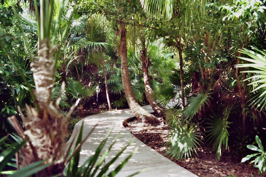 Dschungelweg Catalonia Playa Maroma