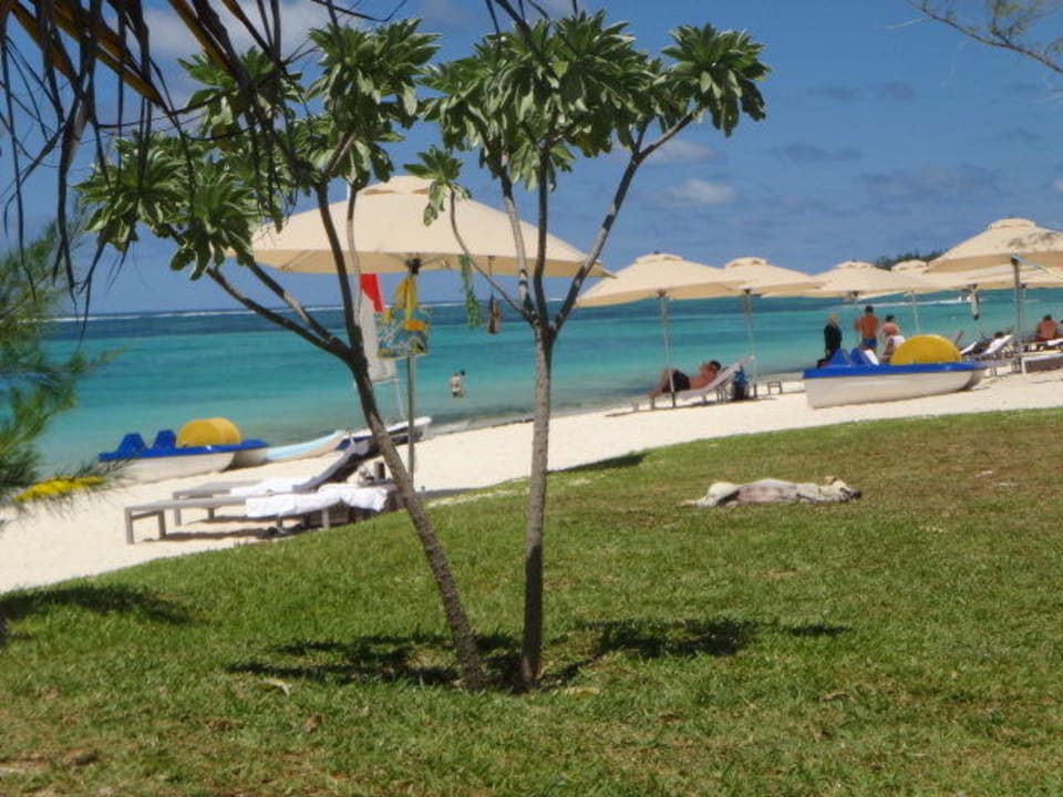 Feiner Sand Crystals Beach Resort Belle Mare, a member of Radisson Individuals