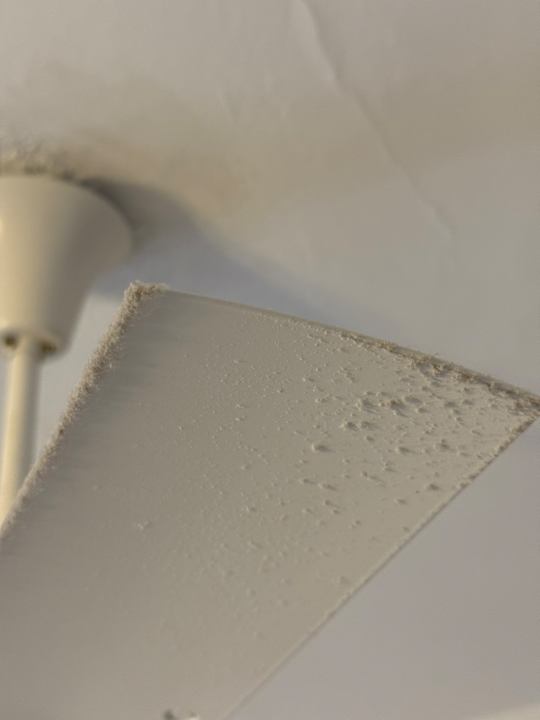 Zimmer SBH Hotel Taro Beach