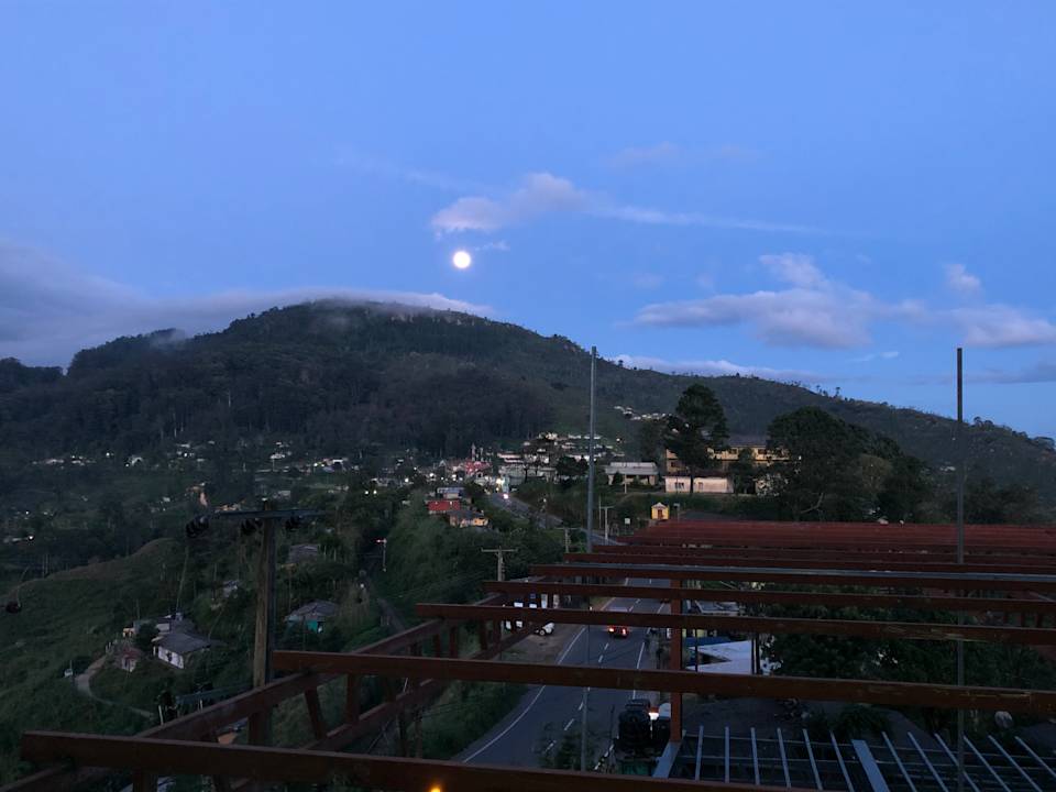 Ausblick Olympus Plaza Hotel