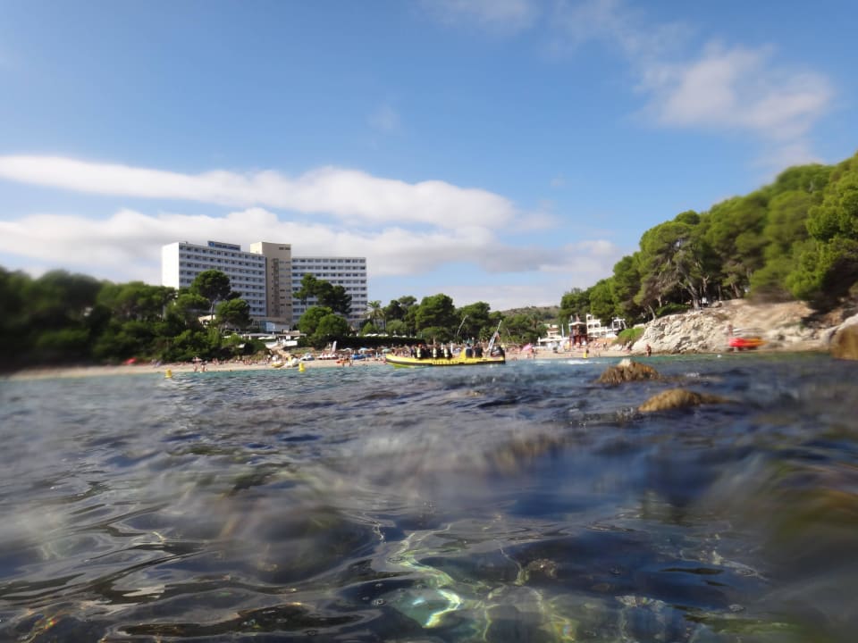 Vom Wasser auf den Strand Iberostar Waves Pinos Park