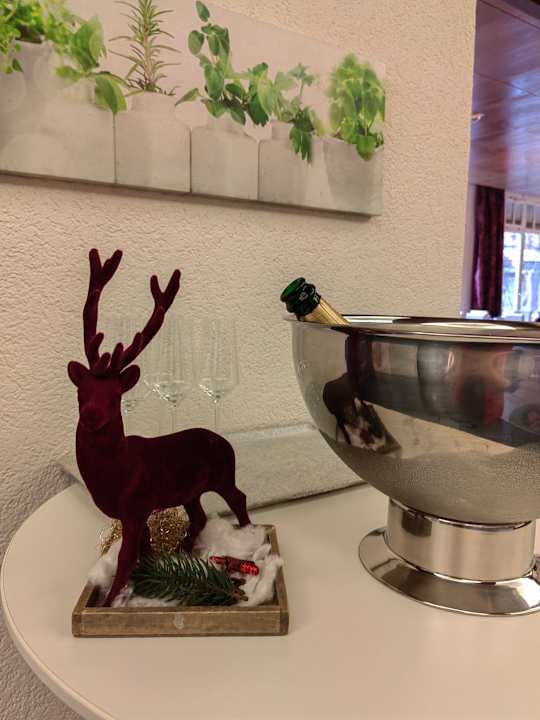 Gastro Sure Hotel by Best Western Bad Dürrheim