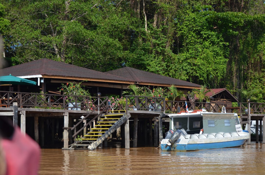 Ankunft in der Abai Lodge Hotel Abai Jungle Lodge