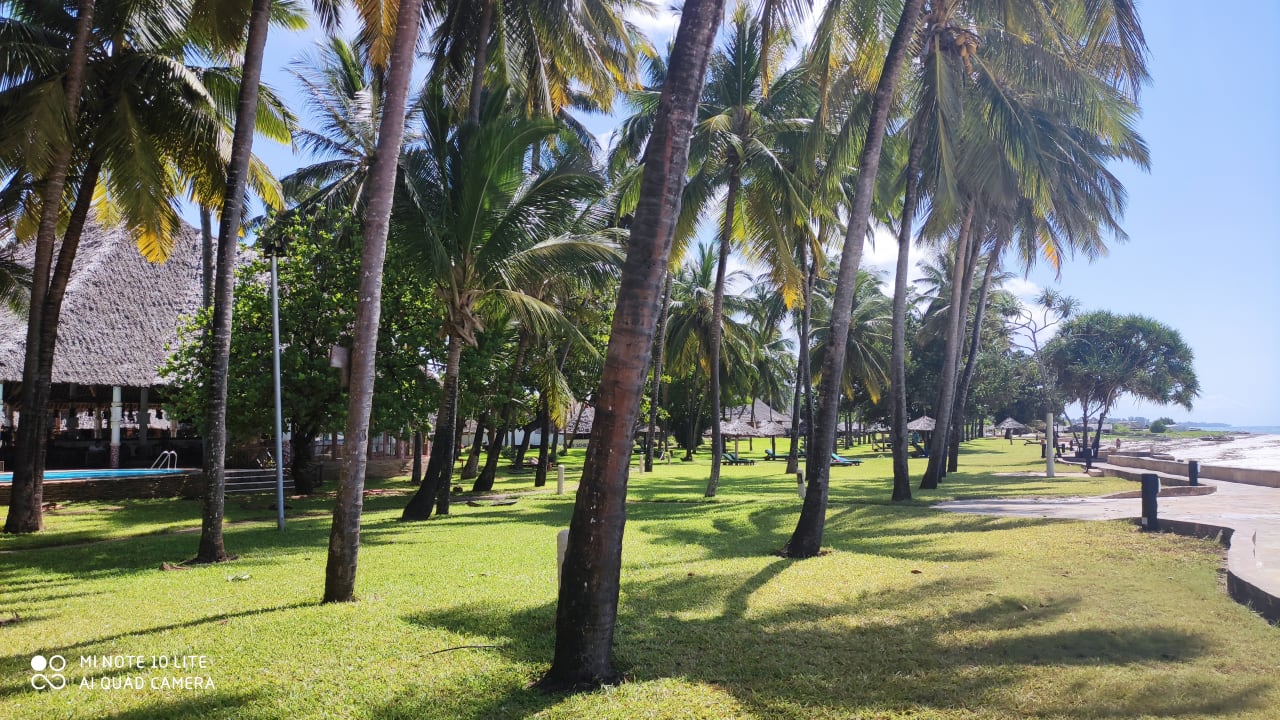 Gartenanlage Neptune Palm Beach Boutique Resort & Spa