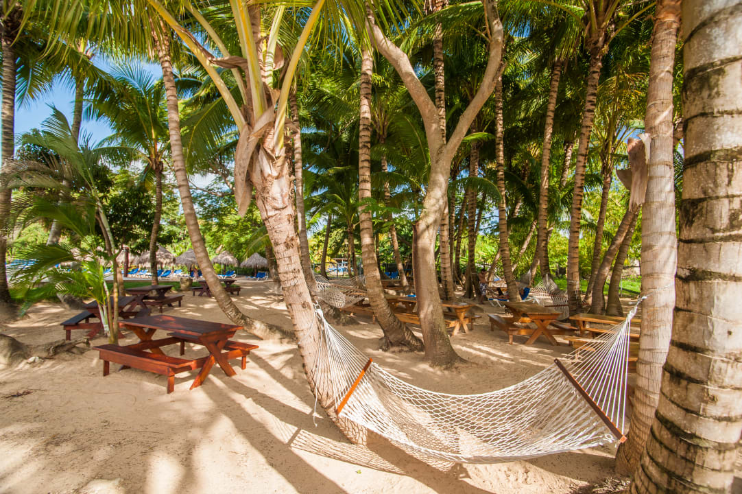 Gartenanlage Grand Sirenis Punta Cana Resort & Aquagames