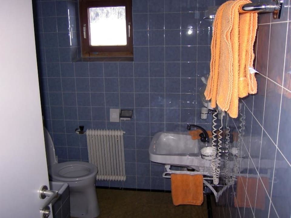 Bad Zi 102 Alpenresidenz Ballunspitze