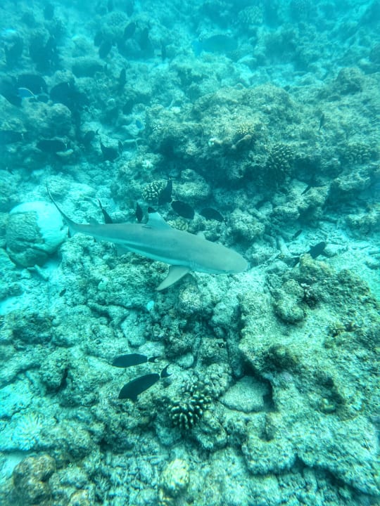 Sport & Freizeit Kuramathi Maldives