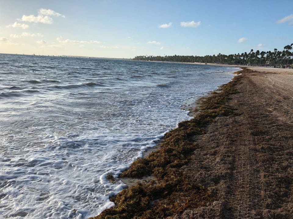 Strand Secrets Royal Beach Punta Cana - Adults only