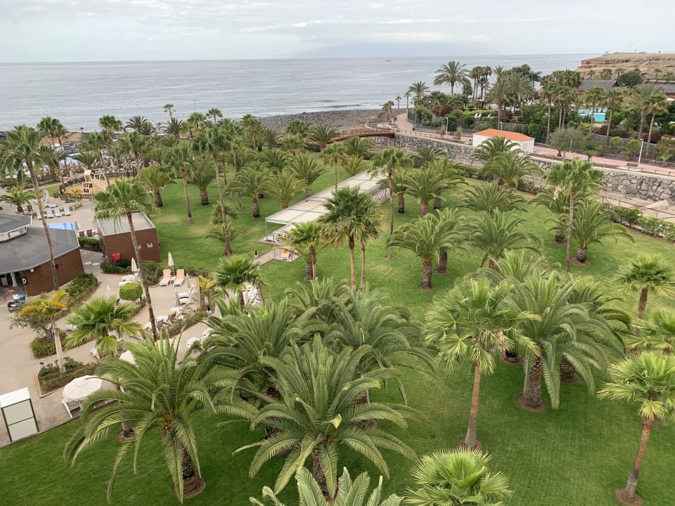 Gartenanlage Hotel Riu Palace Tenerife