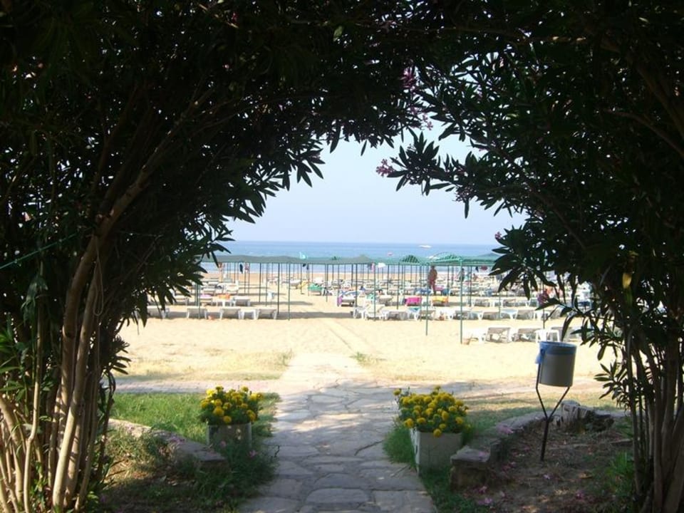 Oleander - Allee zum Strand (Weg zum Strand) Seher Kumköy Star Resort & Spa