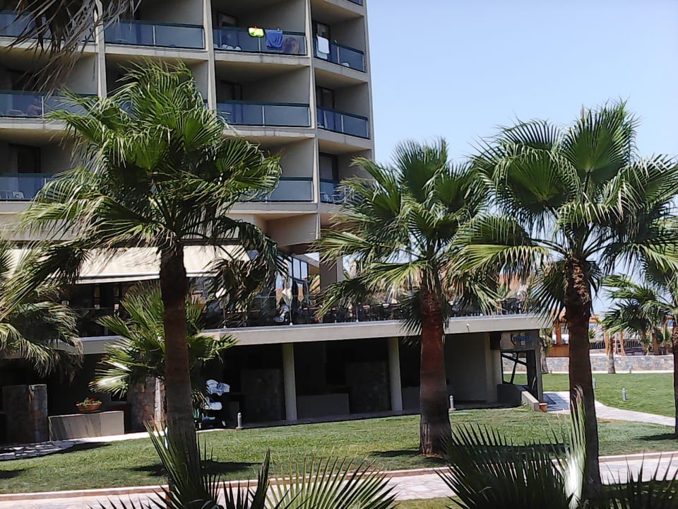 Garten Calimera Sirens Beach