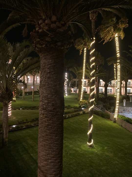 Gartenanlage Club Hotel Drago Park