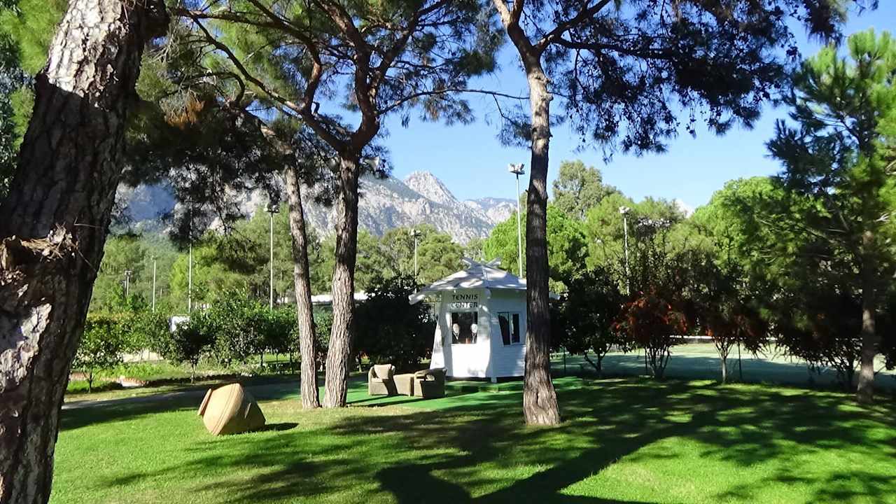 Details... Balmy Foresta