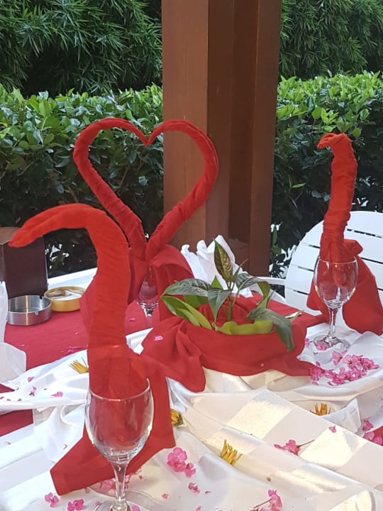 Gastro Well Palace Side