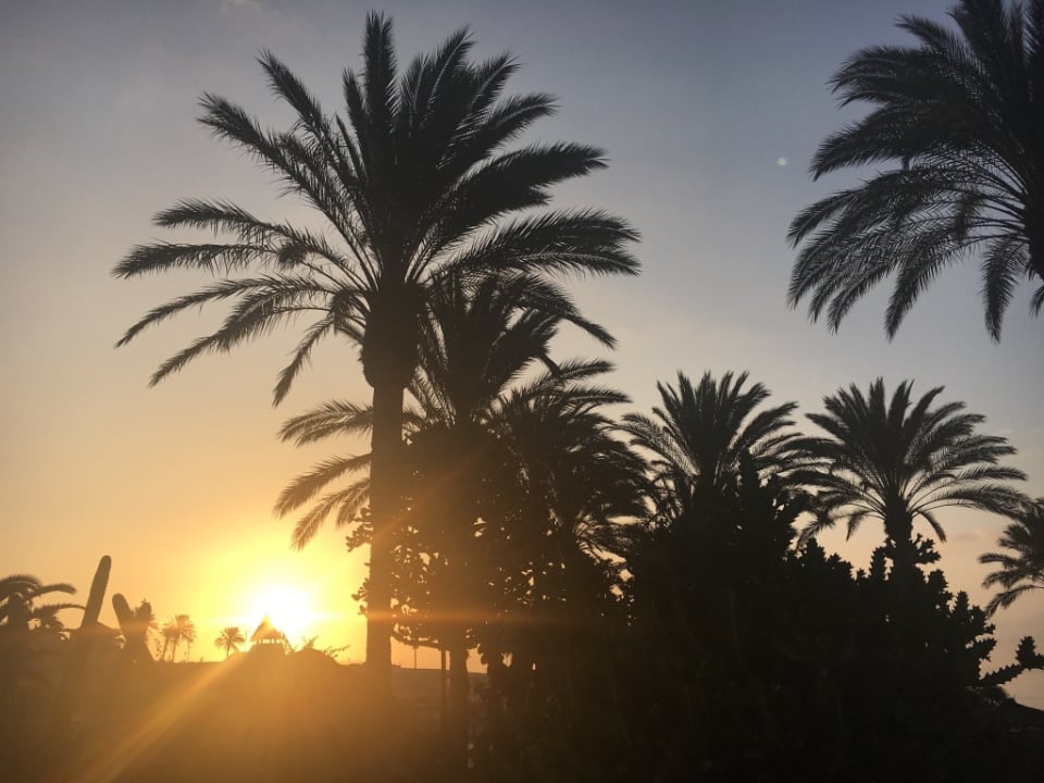 Gartenanlage SBH Costa Calma Beach Resort