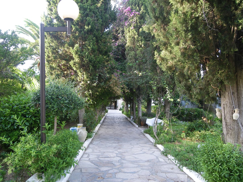 Schöner Weg durch den Garten zum Restaurant The Orangers Beach Resort and Bungalows