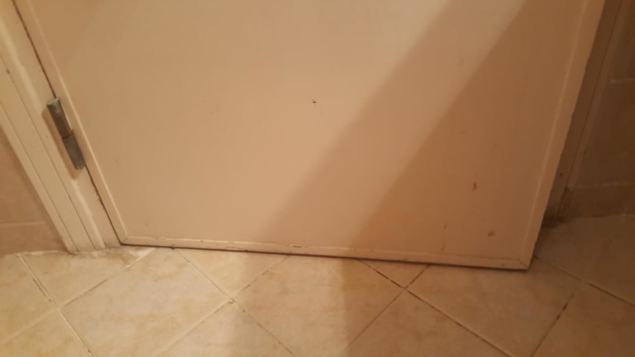 Zimmer Ghazala Gardens