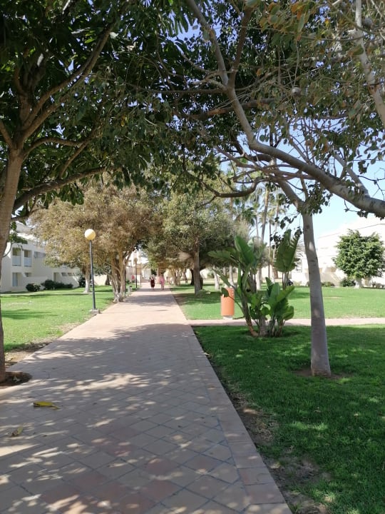 Gartenanlage Hotel Riu Oliva Beach - Hotel