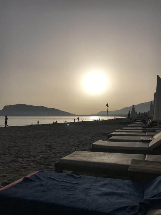 Strand Blue Diamond Alya