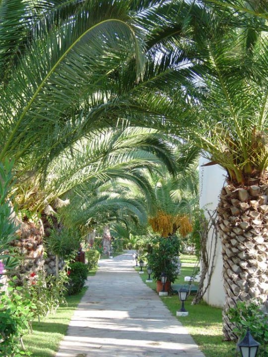 Hotelanlage Atlantica Marmari Beach