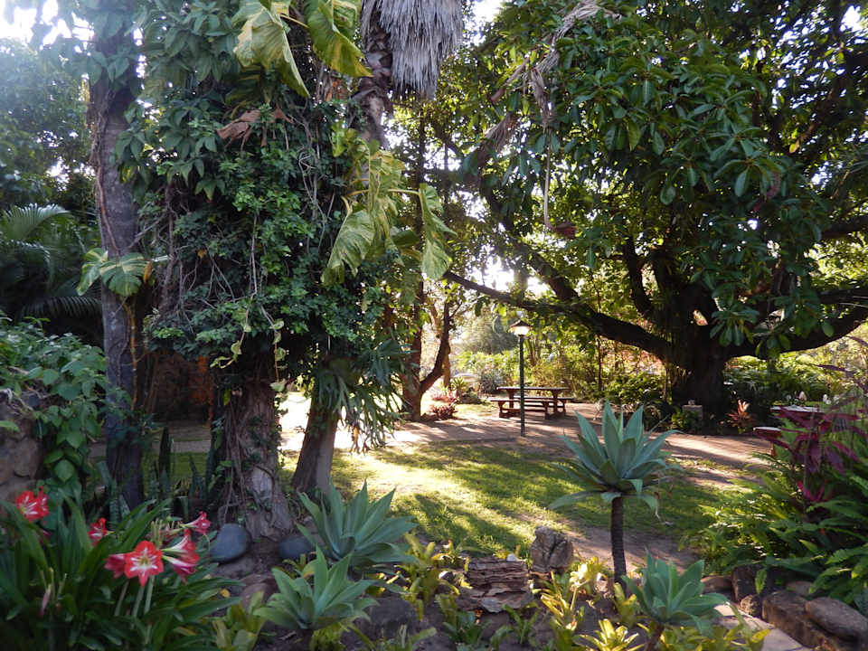 Gartenanlage Hotel Numbi The Main House