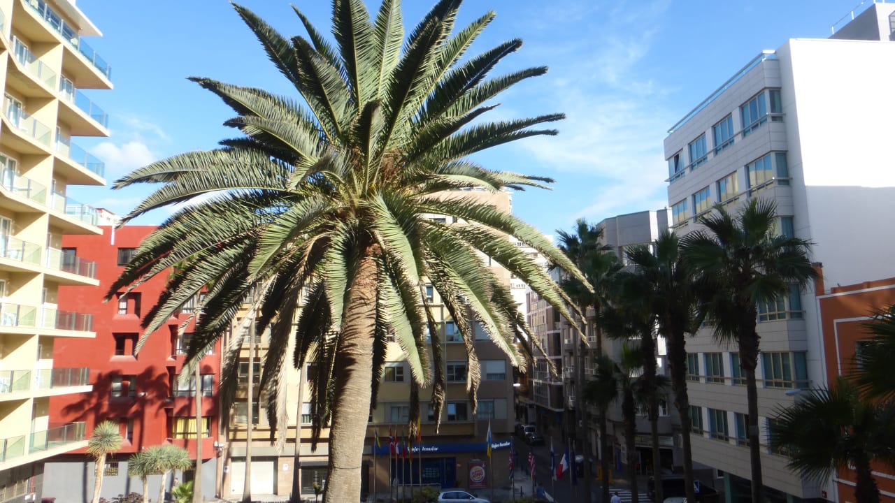 Ausblick Bull Reina Isabel & Spa