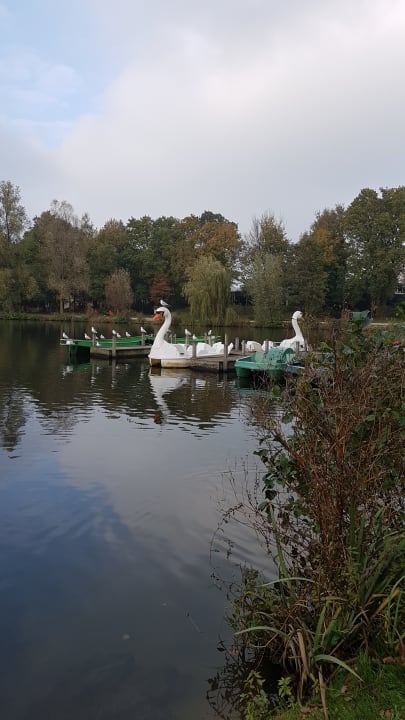 Strand Center Parcs Het Heijderbos