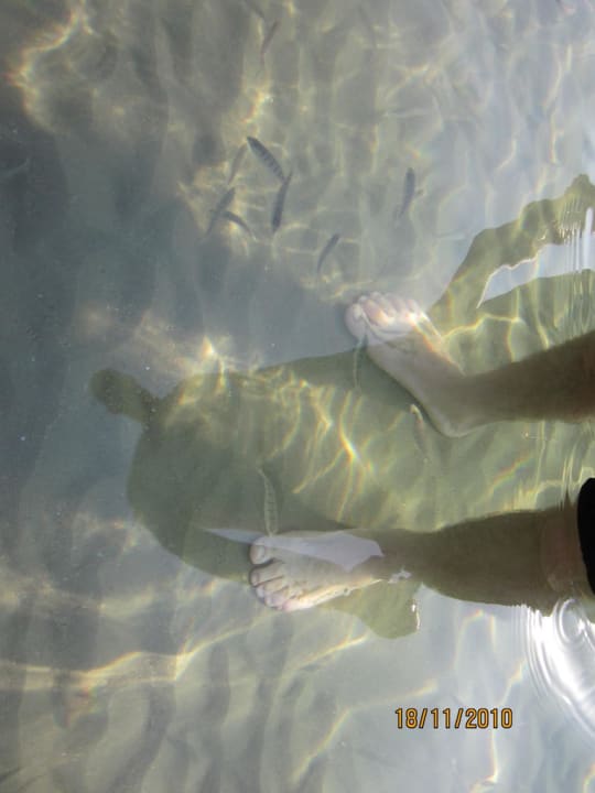 Klares, sauberes Wasser Horus Paradise Luxury Resort & Club