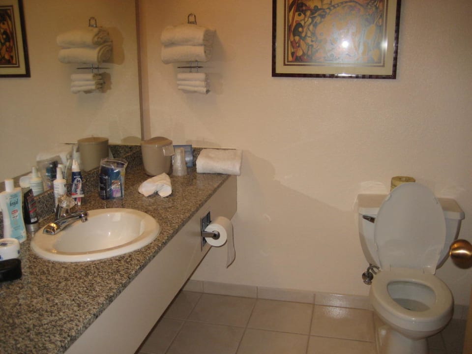 Bad Hotel Circus Circus