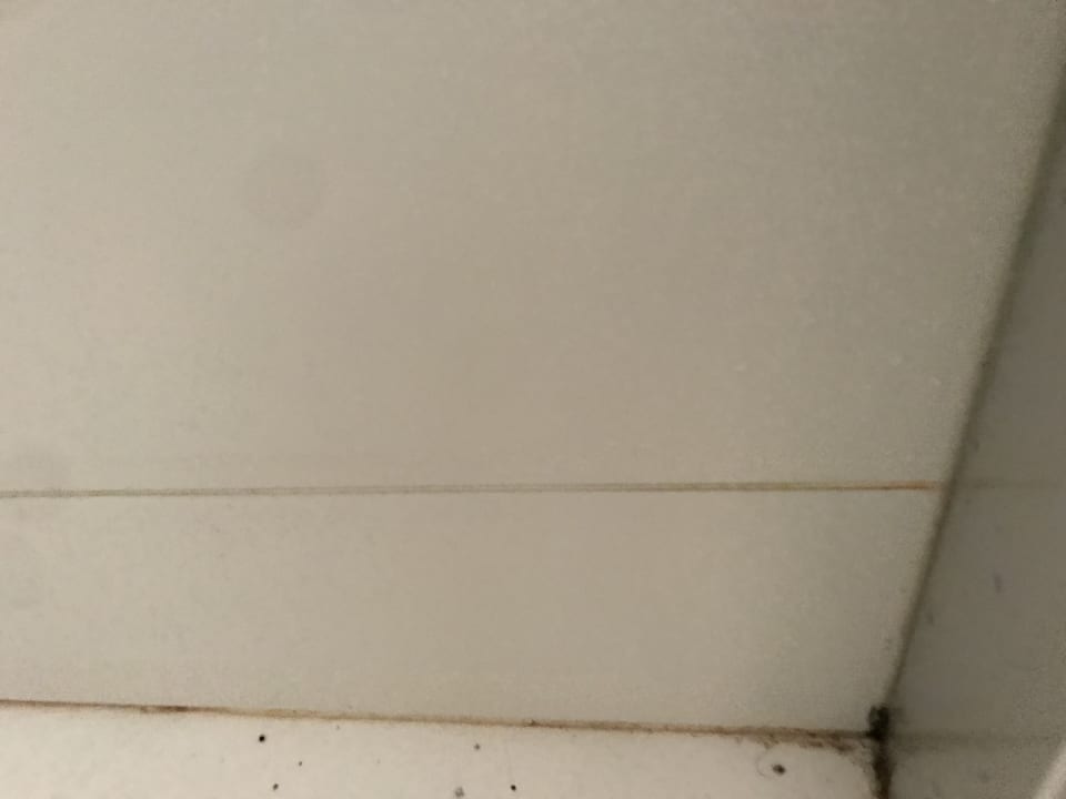 Zimmer FERGUS Club Pineda Splash