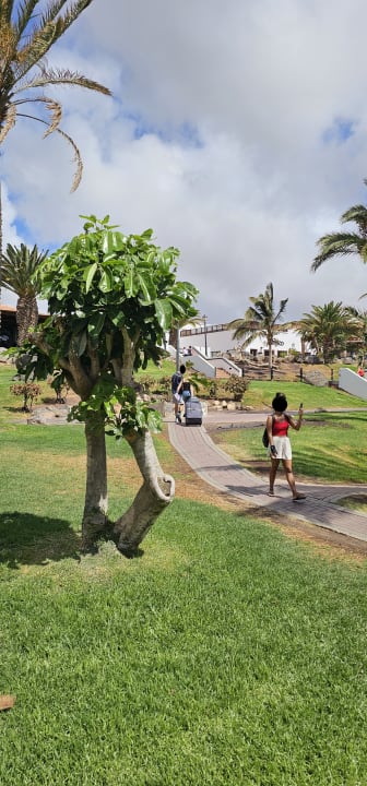 Gartenanlage TUI MAGIC LIFE Fuerteventura