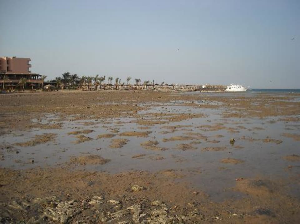 Wunderschöner Anblick bei Ebbe Beach Albatros Resort